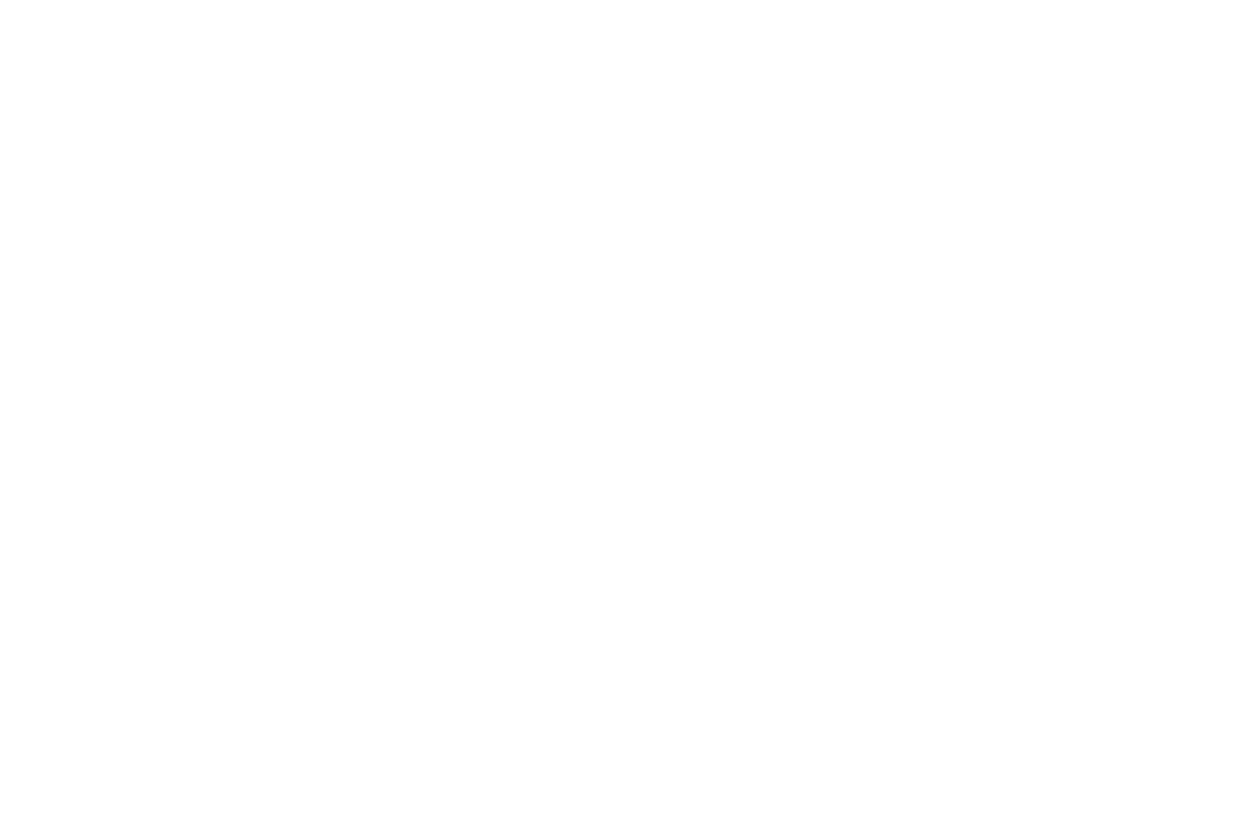 Trust Brake-Logo-W